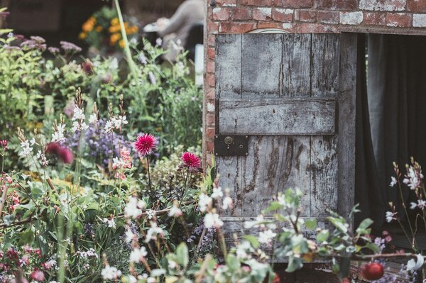 Rustikaler Garten mit verwitterter Holztür und blühenden Blumen im Vordergrund.